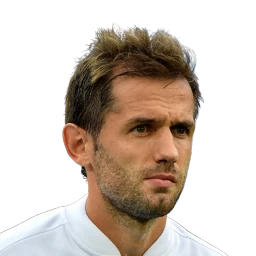 Senad Lulić